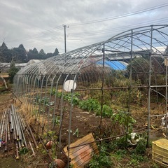 パイプハウス骨組みの画像