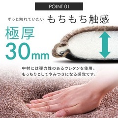 ラグカーペット★厚手★185×240cmの画像