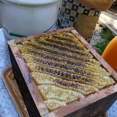 希少！高知県産【日本ミツバチの純粋天然百花ハチミツ】採れたてを瓶詰めしましたの画像