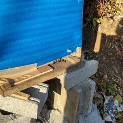 希少！高知県産【日本ミツバチの純粋天然百花ハチミツ】採れたてを瓶詰めしましたの画像