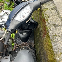 ライブディオの画像