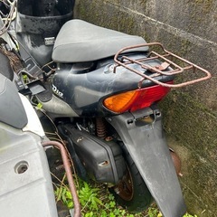 ライブディオの画像