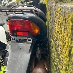 ライブディオの画像