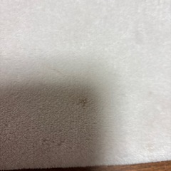 カーペット　　2.0m✖️2.5mの画像