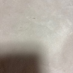 カーペット　　2.0m✖️2.5mの画像