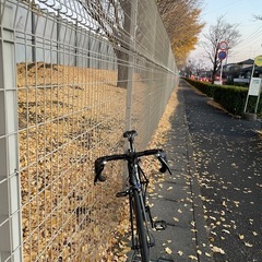 ロードバイクGIANT TCR 0 2016の画像