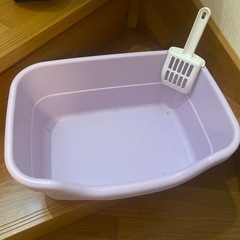 ねこのトイレ
の画像