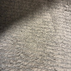 ✩交渉中✩ニトリ　カーペットの画像