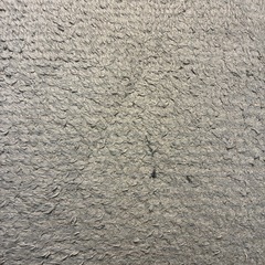 ✩交渉中✩ニトリ　カーペットの画像