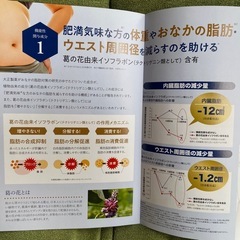 大正製薬　おかなの脂肪対策タブレット　サプリメントの画像