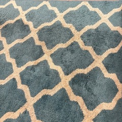 アクメファニチャー　ラグ　200cm×140cm
　の画像