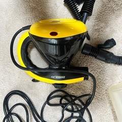 ドラゴンジェット(スチーマー) 譲渡者様決まりました。の画像