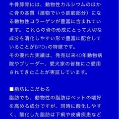 犬用サプリメント②
の画像