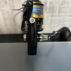 Shimano 21Spheros SW 6000HG スピニングリールの画像