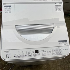 2023年製シャープ洗濯機6.5kgの画像
