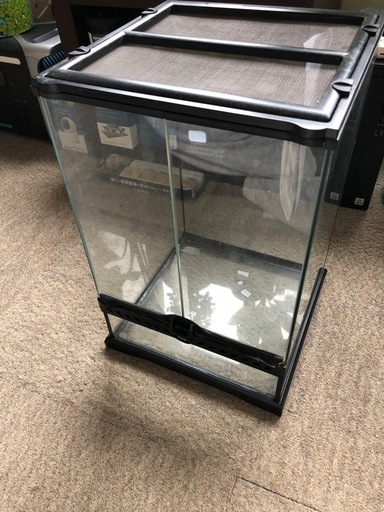 グラステラリウム3045 爬虫類ケージ引き取り限定 (うみ) 静岡のその他