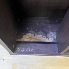 ニトリCDラック②の画像