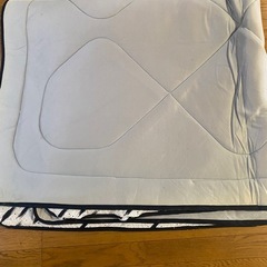 こたつ敷き布団の画像