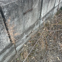 コンクリート壁
の画像