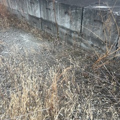 コンクリート壁
の画像