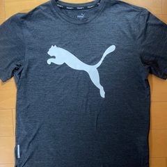プーマ　Ｔシャツ　Sサイズ　2枚の画像