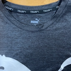 プーマ　Ｔシャツ　Sサイズ　2枚の画像