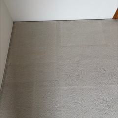 廃棄予定おはやめに！　カーペット　絨毯　6畳　中古 の画像