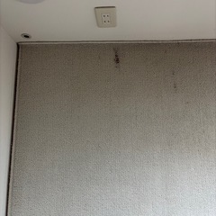 廃棄予定おはやめに！　カーペット　絨毯　6畳　中古 の画像