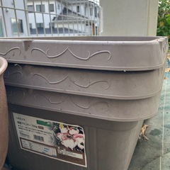 ガーデンコンテナ、テラコッタ鉢などの画像