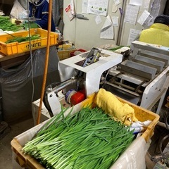 🉐ニラ1kgの画像