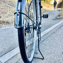 ココナッツG ブラック 27型 変速なし【大阪吹田・整備済み】の画像