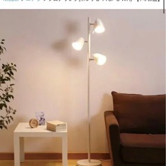 2026/2月まで❗️ニトリのランプの画像