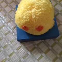 中古ヒヨコの画像