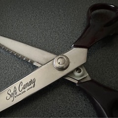 🔸長谷川刃物 はさみ の画像