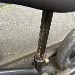 ストライダーの画像