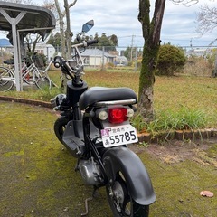 ◆スズキ　ちょいノリSS     ちょいカスタム聞こえの画像