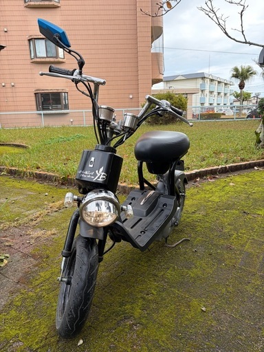 ◆スズキ　ちょいノリSS     ちょいカスタ