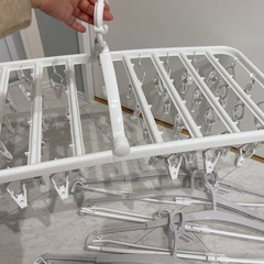 美品ニトリ洗濯ハンガーセットの画像