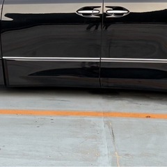 カールソンの画像