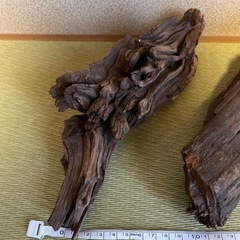 流木3つセット
の画像