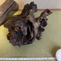 流木3つセット
の画像