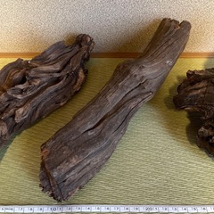 流木3つセット
の画像