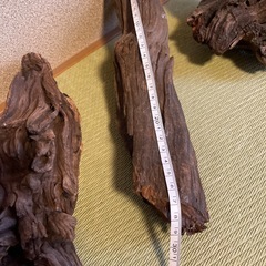 流木3つセット
の画像
