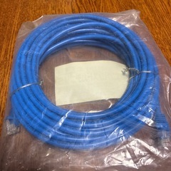 LANケーブル　10ｍ
の画像