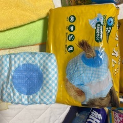 ペット用オムツの画像