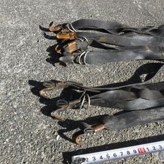 トラックゴムバンド　約100本　手渡希望の画像