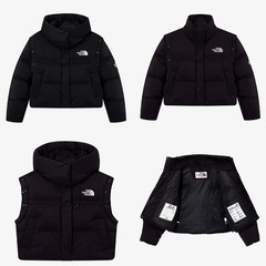THE NORTH FACE NOVELTY NUPTSE DT DOWNの画像