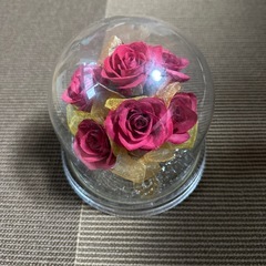 ブリザーブドフラワー　笠戸機械工業　0208K35 レトロの画像