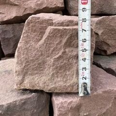 朱色 ピンコロの画像