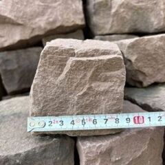 朱色 ピンコロの画像